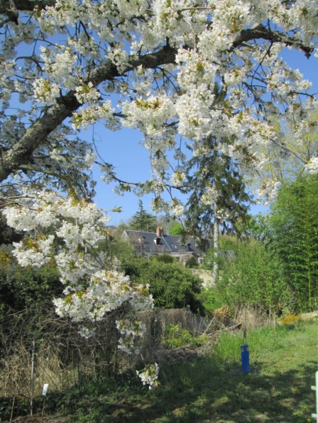 ???????????????????????????????