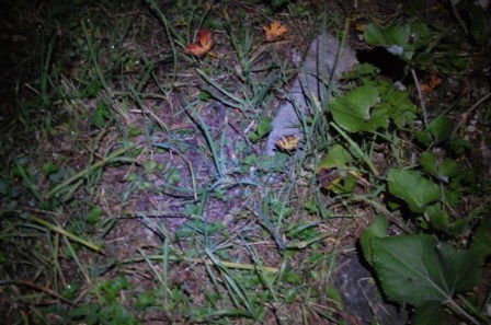 Fouly-4hdumat-lété