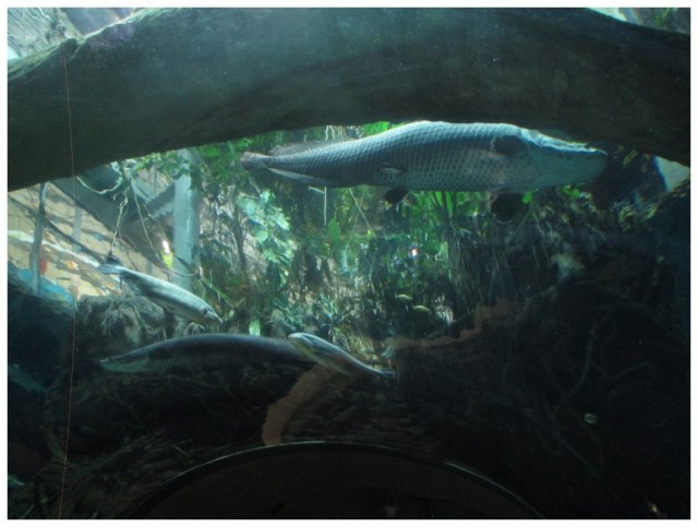 ???????????????????????????????