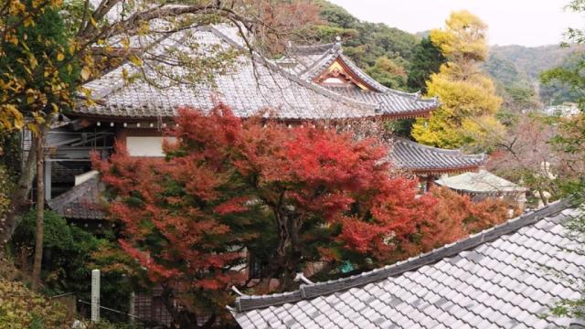 ??????????????????????