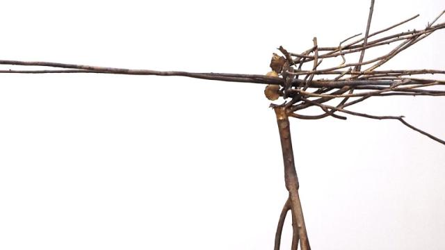 ??????????????????????