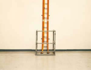 taryn-simon-growth-07-690x532[1]