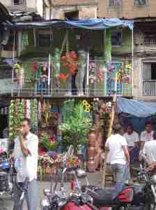 fleurs-Kathmandu